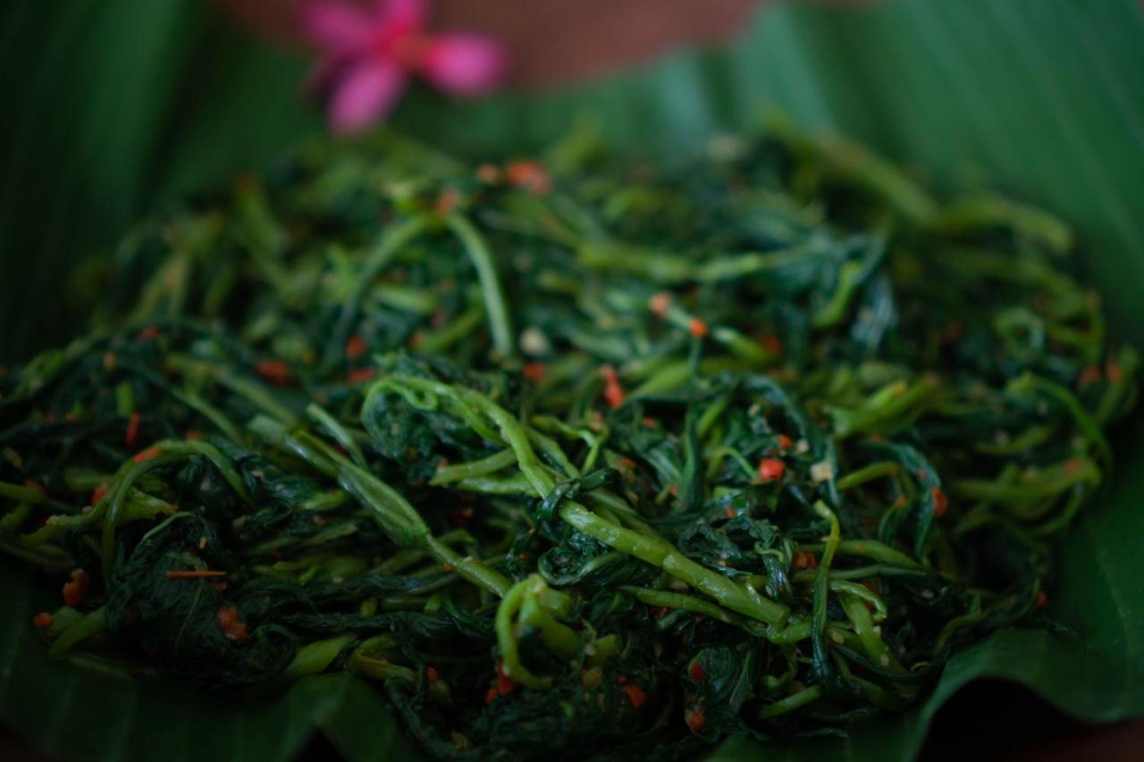 Bali Sesandan Garden Selemadeg المظهر الخارجي الصورة